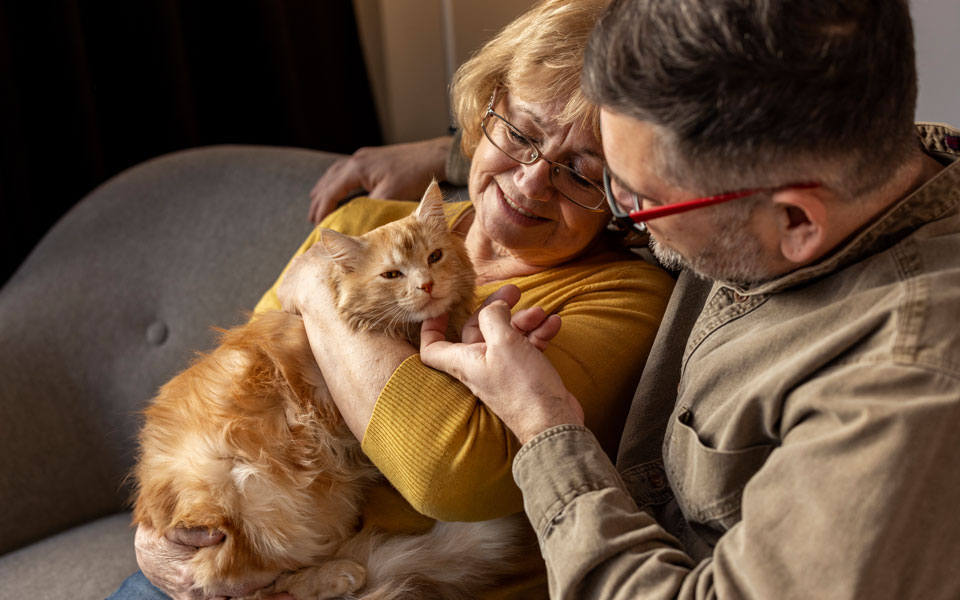 Couple de retraités souriant en compagnie de leur chat, apportant chaleur et réconfort dans leur quotidien.